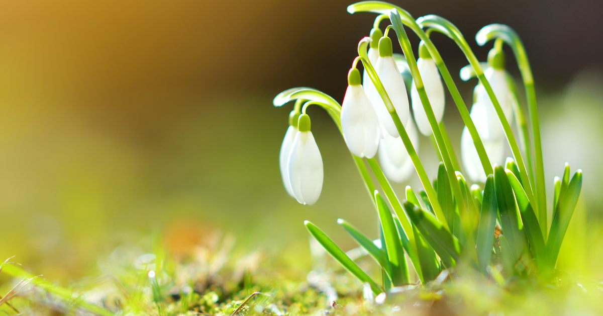 Få styr på forårets helligdage og fridage