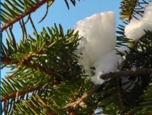 Reglerne for firmajulegaven er blevet ændret